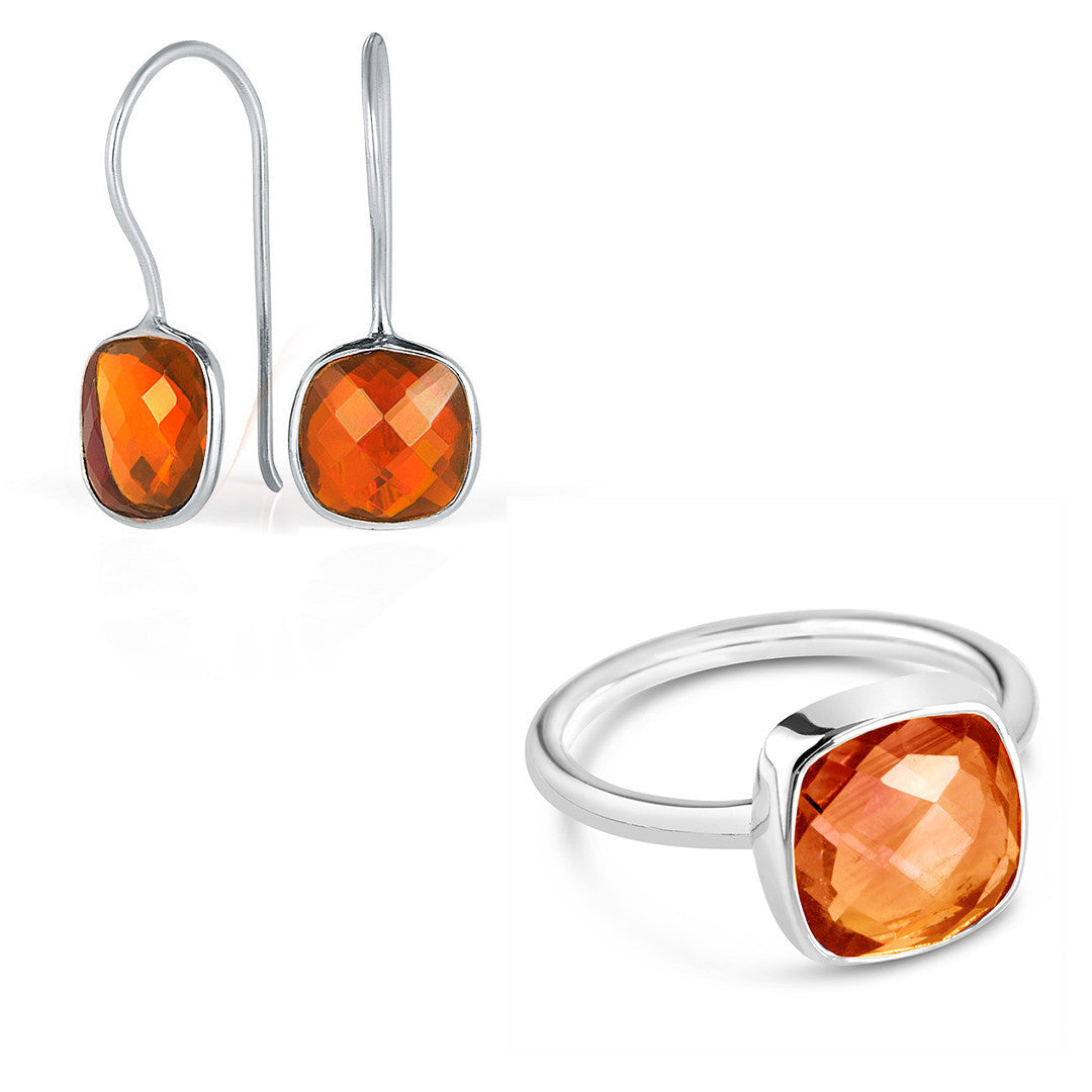 Brushed Silver And Carnelian orders Earrings